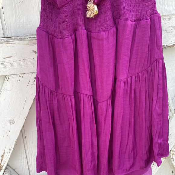 Naked Zebra - Picture 5 of 9